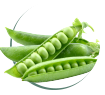 Pea Peptide