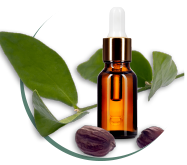 Jojoba Extract