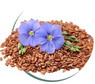 Linseed Oil