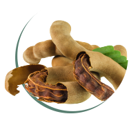 Tamarind Extract