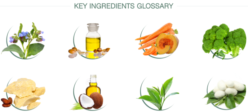 holistic hair care products